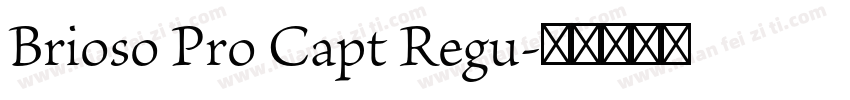 Brioso Pro Capt Regu字体转换